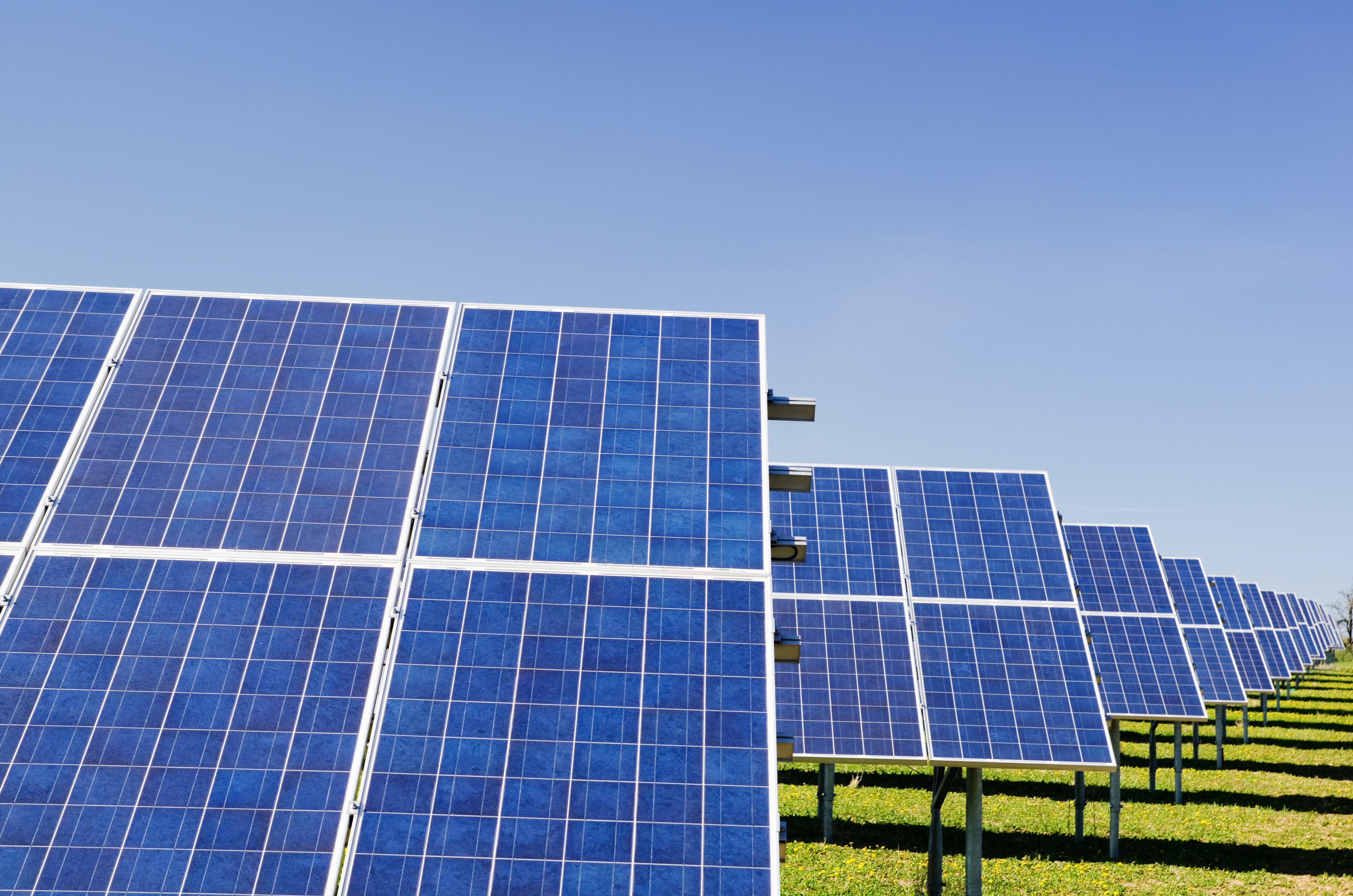 Solar panels in a field