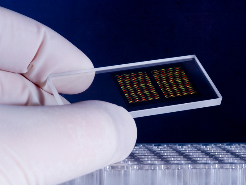 A gloved hand holding a slide with DNA chips