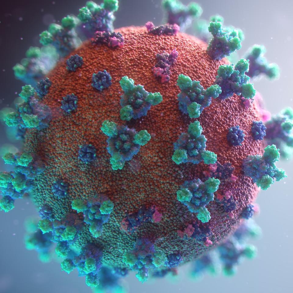Visualisation of Covid 19 virus