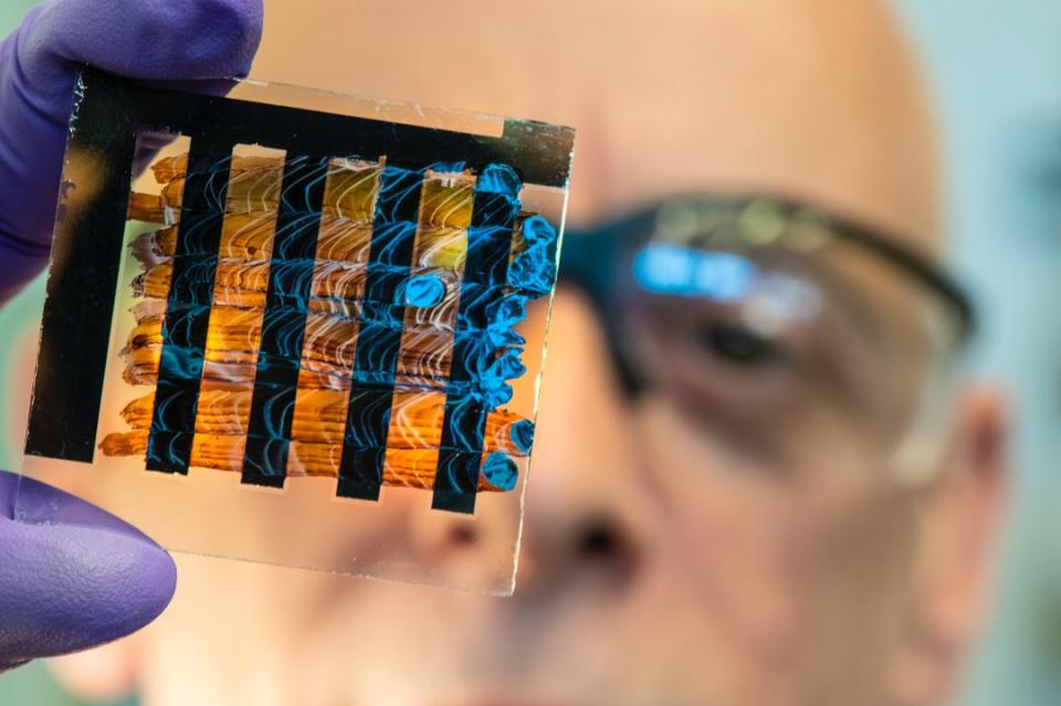 Man wearing science goggles looking at a glass slide with blue marks