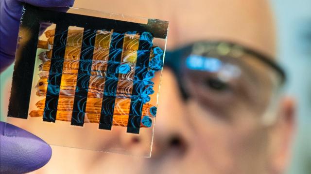 Man wearing science goggles looking at a glass slide with blue marks