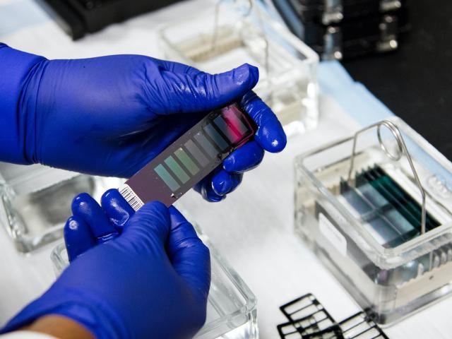 Close up shot of hands in blue gloves holding lab equipment