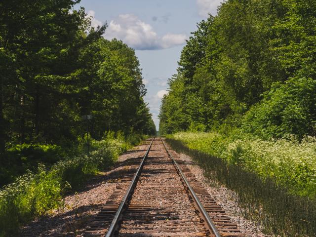 railway track lined with trees
