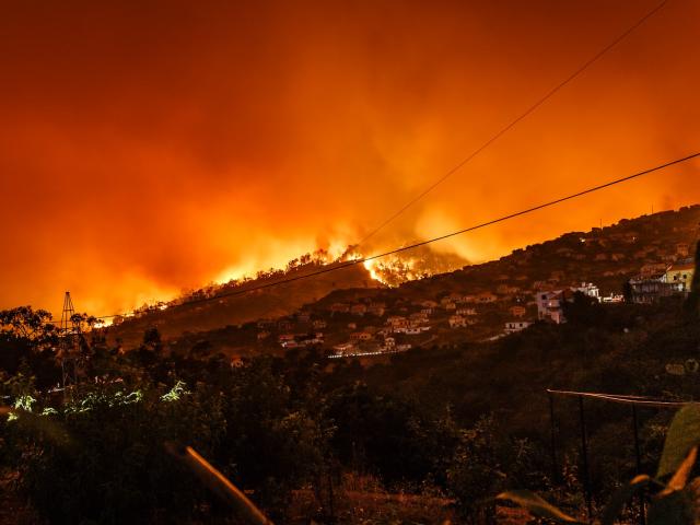 A fire on a hillside at night