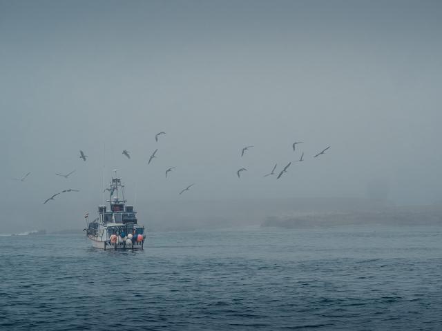 A fishing boat on the sea